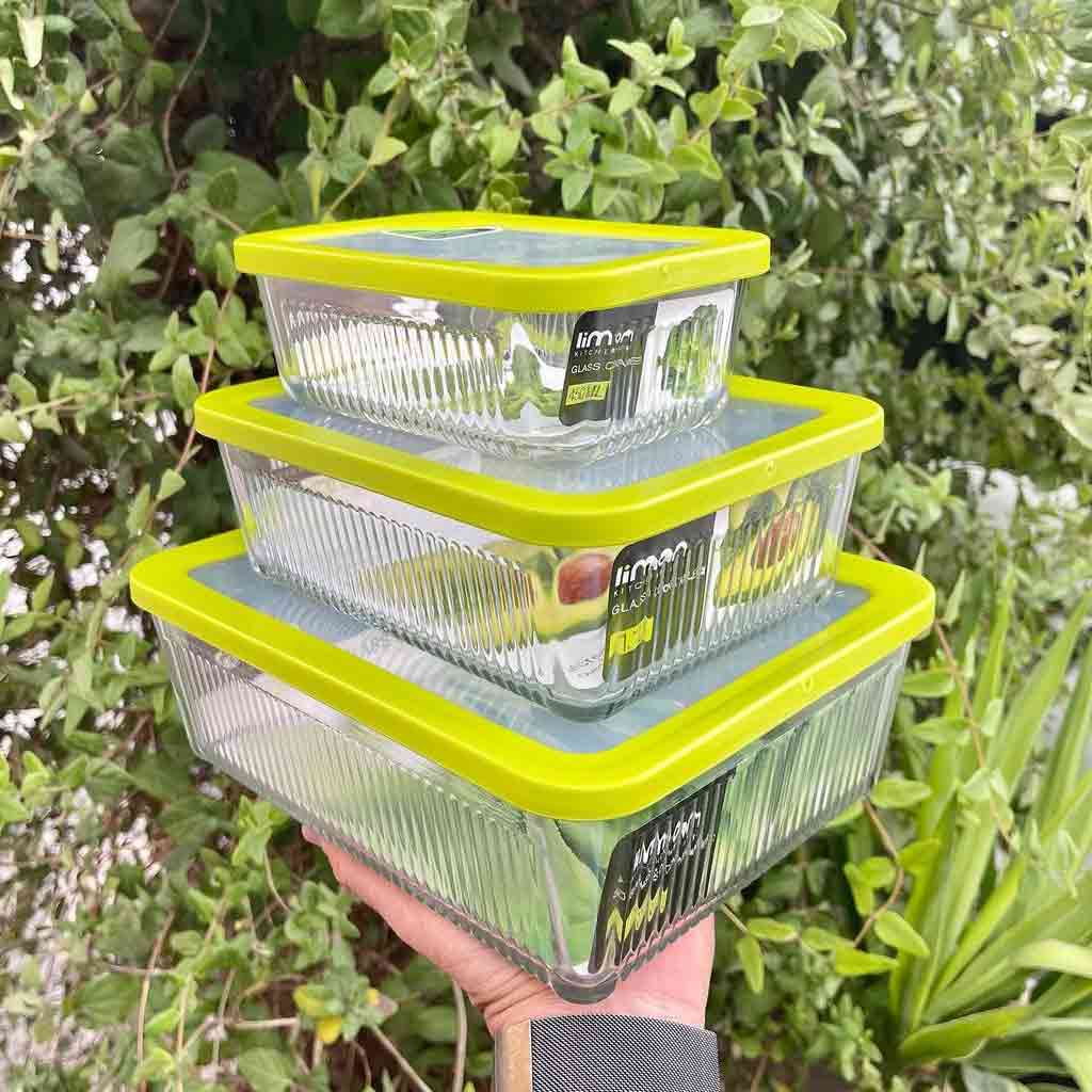 ظرف فریزری  نگهدارنده لیمون مدل شیاردار کد 2100